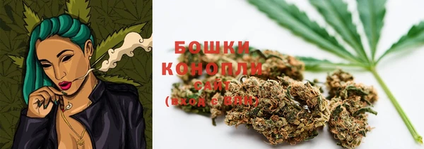 ешки Арсеньев