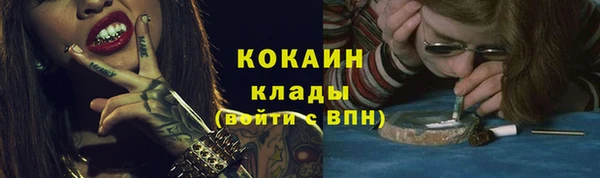 ешки Арсеньев