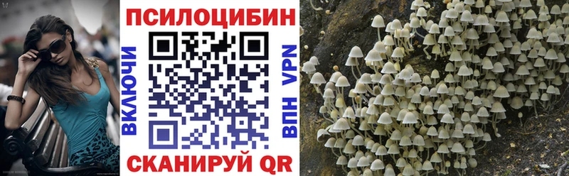 Псилоцибиновые грибы прущие грибы  купить наркотик  Лесной 