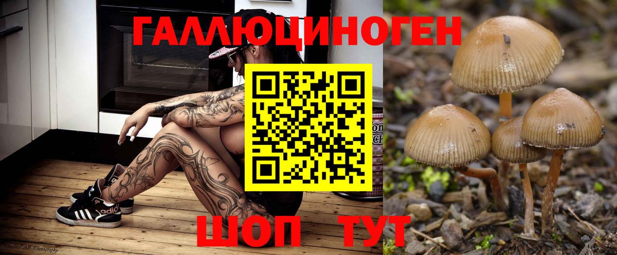 где купить наркотик  Вход с VPN  Лесной  Галлюциногенные грибы ЛСД 
